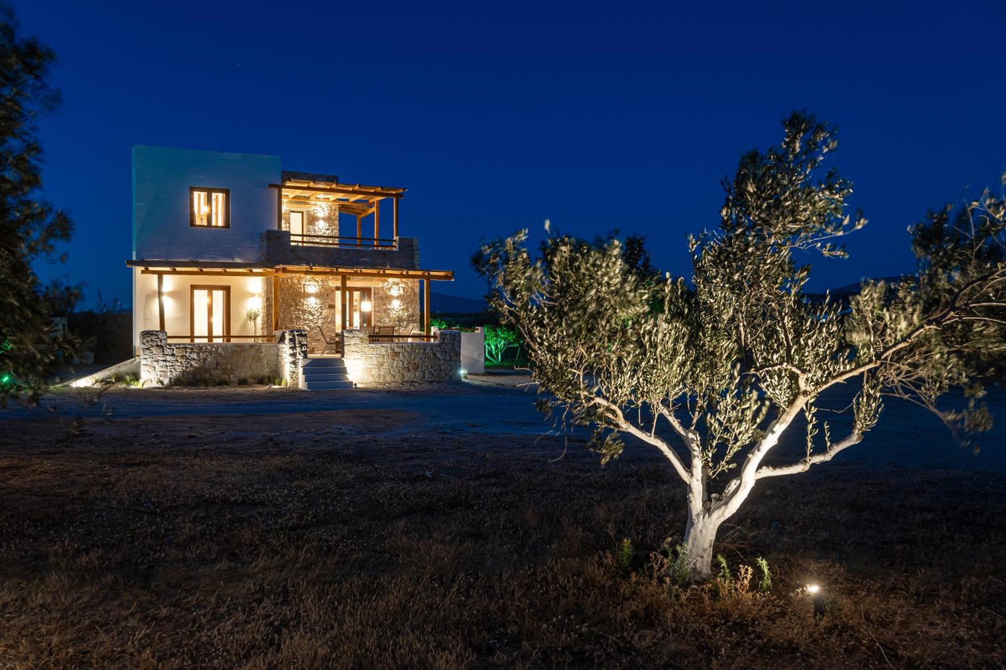 Naxos Beachwalk Villa Plaka Maragkas Eksteriør billede